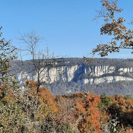 Gite Des 2 Lions Murs-et-Gelignieux エクステリア 写真