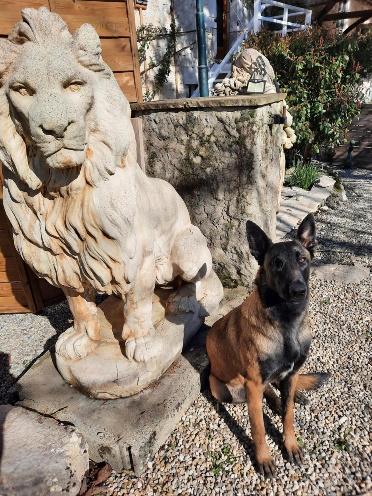 Gite Des 2 Lions Murs-et-Gelignieux エクステリア 写真